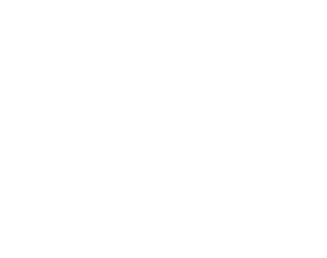 RapidIRB